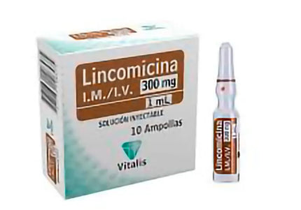 Lincomicina 300 Mg/1 Ml 10 Ampollas