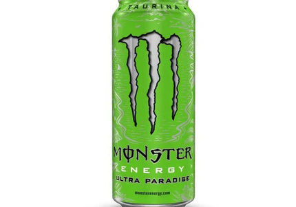 Monster Paradise 473 Ml
