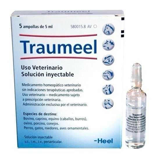Traumeel 5 Ampollas
