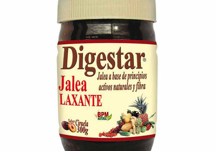 Digestar Jalea 300 Gr