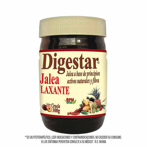 Digestar Jalea 300 Gr