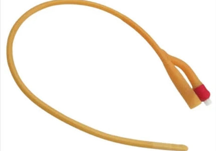 Sonda Eterna Foley 2 Viales N.22 15 Cc