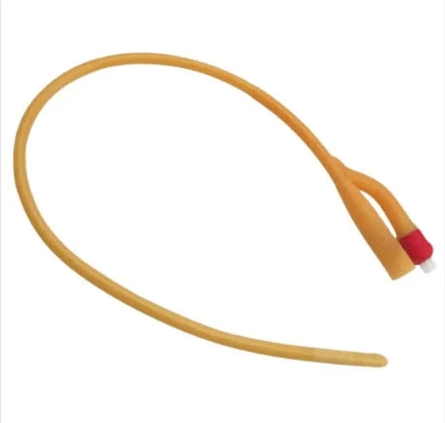 Sonda Eterna Foley 2 Viales N.22 15 Cc