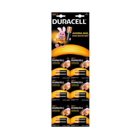 Pila Duracell Alkalina AA X 2 6 Und
