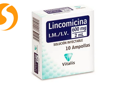Lincomicina 600 Mg/2Ml 10 Ampollas Vt