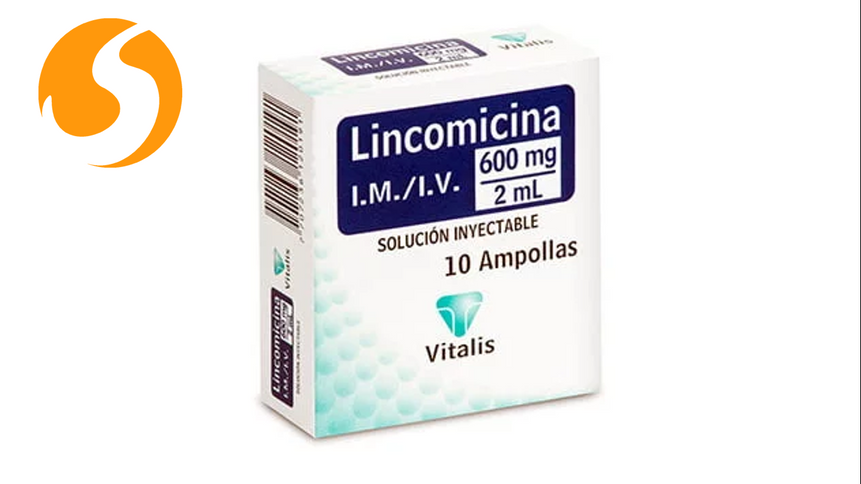 Lincomicina 600 Mg/2Ml 10 Ampollas Vt