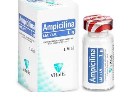 Ampicilina 1 Gr 1 Ampolla Vt