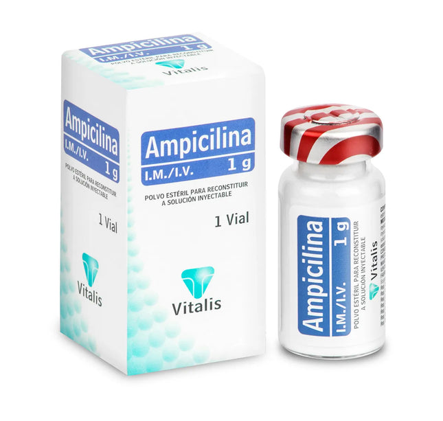Ampicilina 1 Gr 1 Ampolla Vt