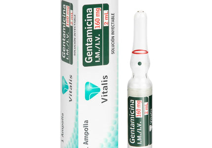Gentamicina 160Mg/2Ml 1 Ampolla Vt