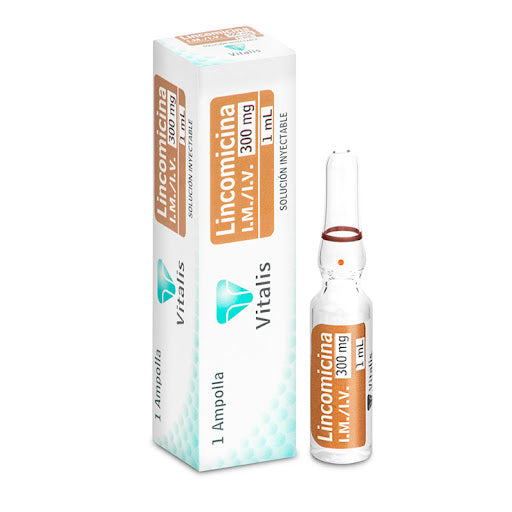 Lincomicina 300Mg/1Ml 1 Ampolla Vt